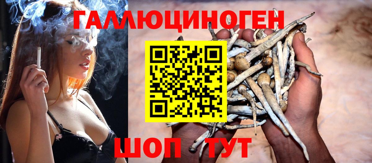 Галлюциногенные грибы Cubensis  Вход с VPN  Йошкар-Ола 